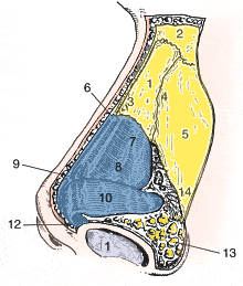 rhinoplasty Sewell NJ